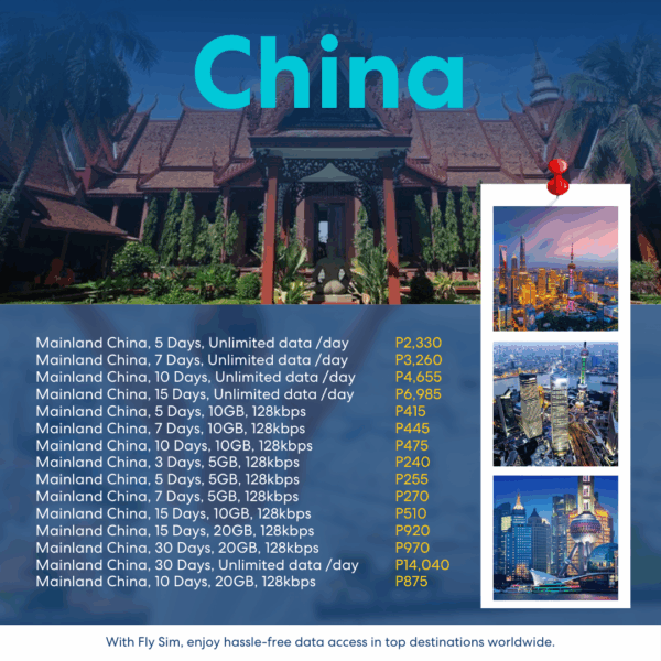 [Fly Sim] Mainland China